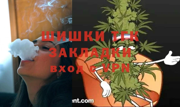 мдпв Кинешма