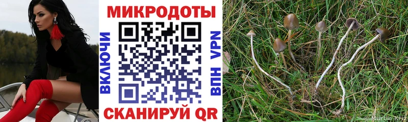 Купить закладки  Городец  Псилоцибиновые грибы ЛСД 